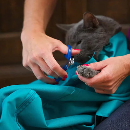 KittBag™ Bolsa de transporte para gatos