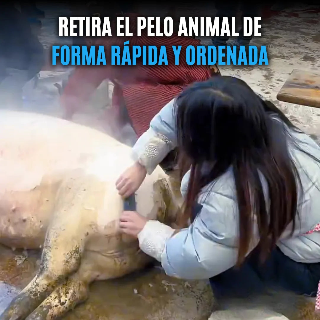 CleanSweep™ Herramienta Depilación de Animales