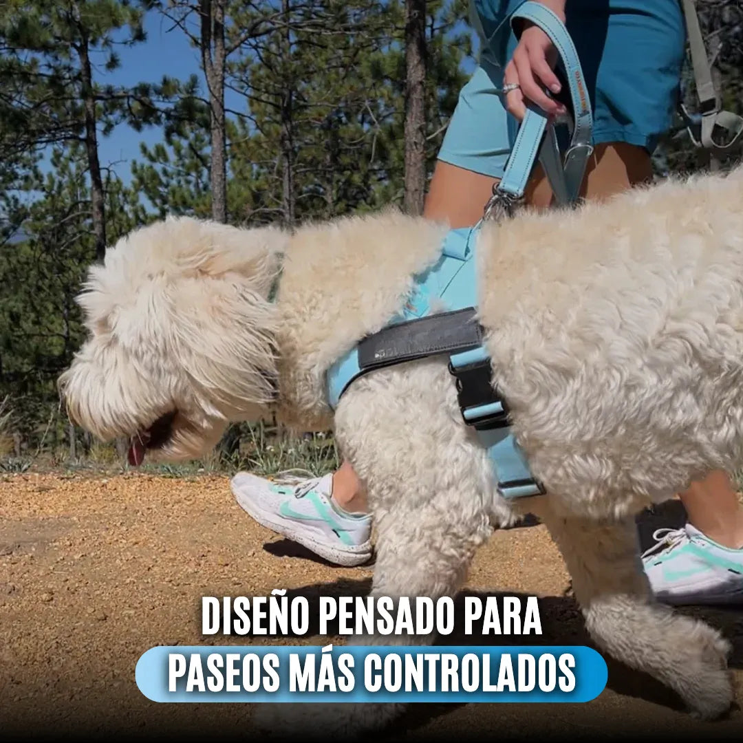 ComfortPet™ Arnés Anti-tirones para Perros