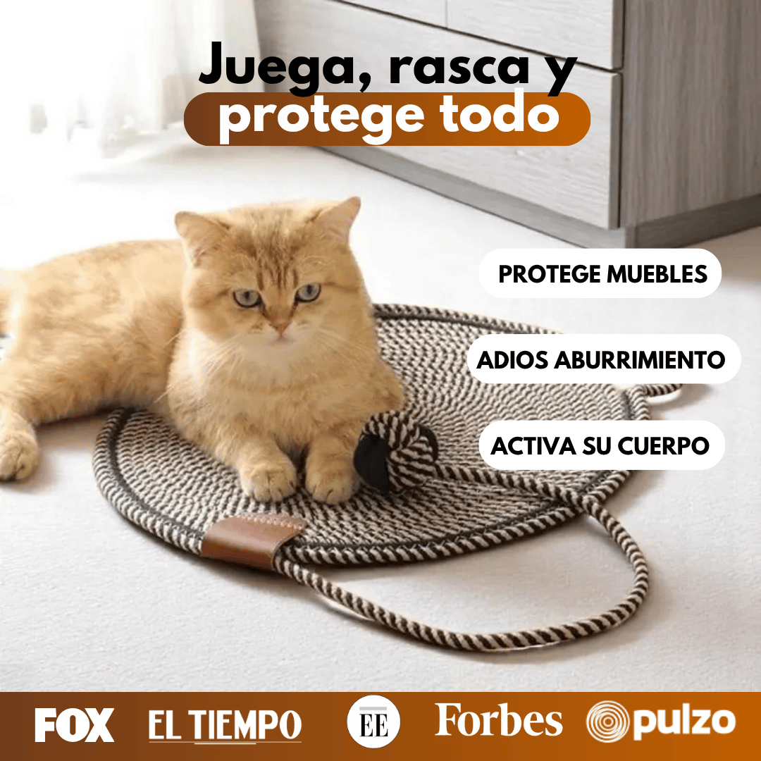 ScratchFun™ Rascador para Gatos