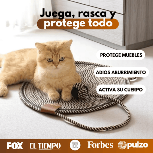 ScratchFun™ Rascador para Gatos