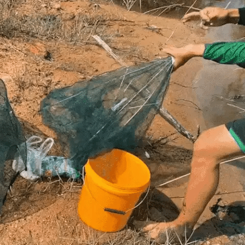 Trampa de Pesca Retráctil de Alta Efectividad UPSELL